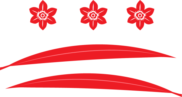 Shoots and Blooms of D.C.  - Washington, DC florist